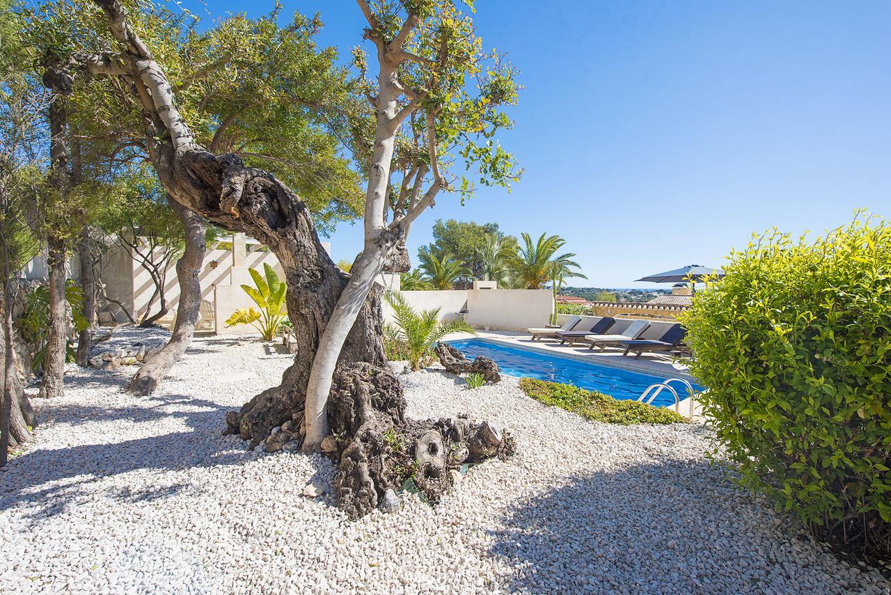 Villa Benavero Boutique Style Within Fenced Tropical Garden Calpe Exteriér fotografie