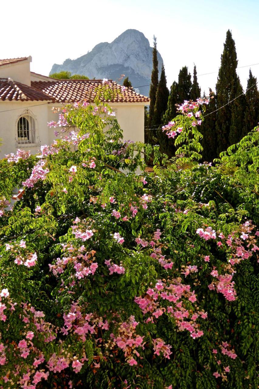 Villa Benavero Boutique Style Within Fenced Tropical Garden Calpe Exteriér fotografie